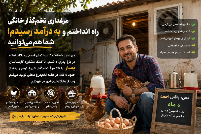 🐔مرغداری تخمگذار خانگی راه انداختم و به درآمد رسیدم؛ شما هم میتوانید!