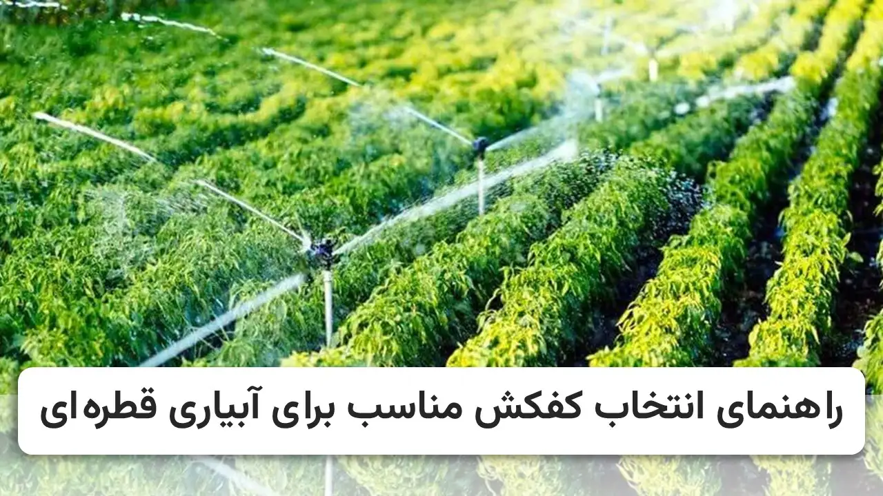 راهنمای انتخاب کفکش مناسب برای آبیاری قطره ای