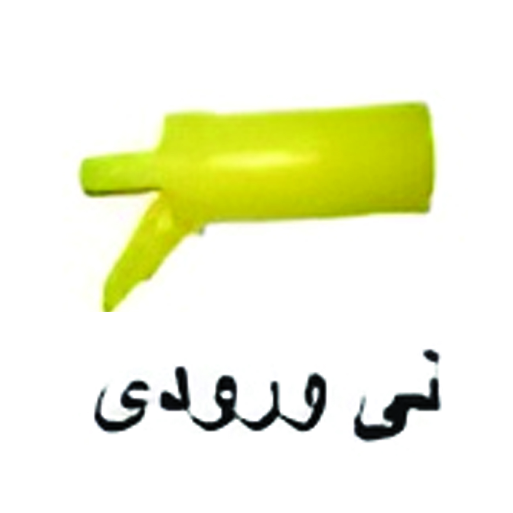 نی ورودی