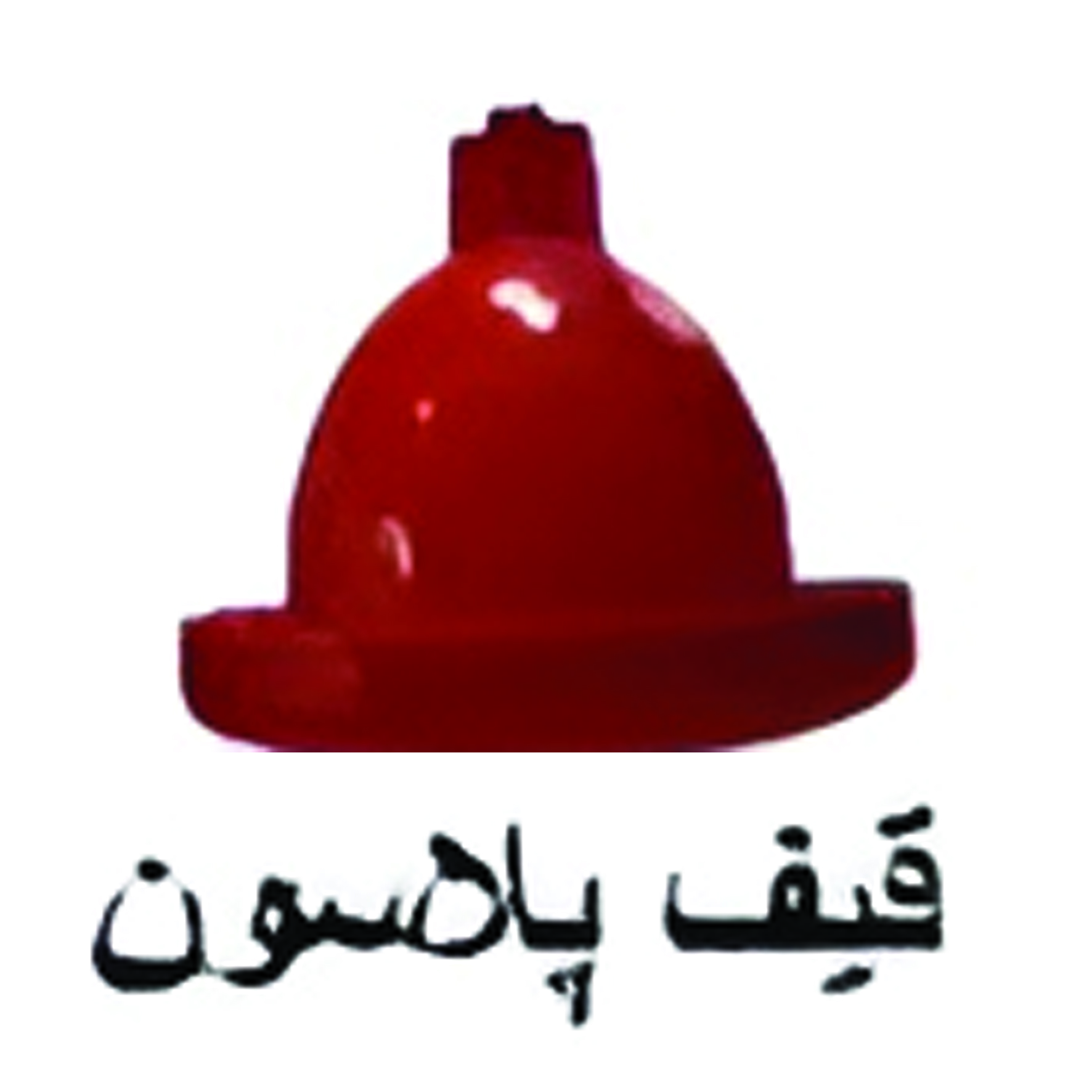 قیف پلاسون