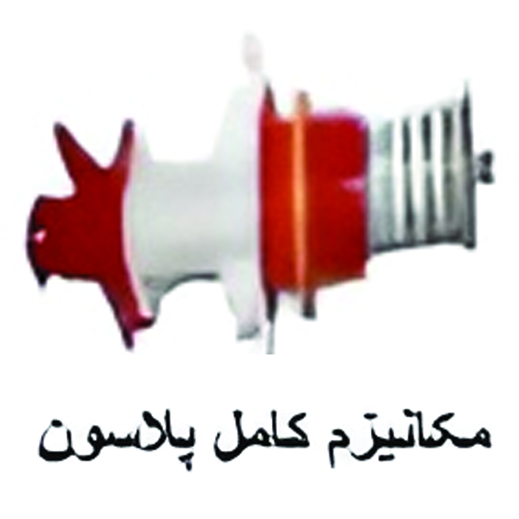مکانیزم کامل پلاسون