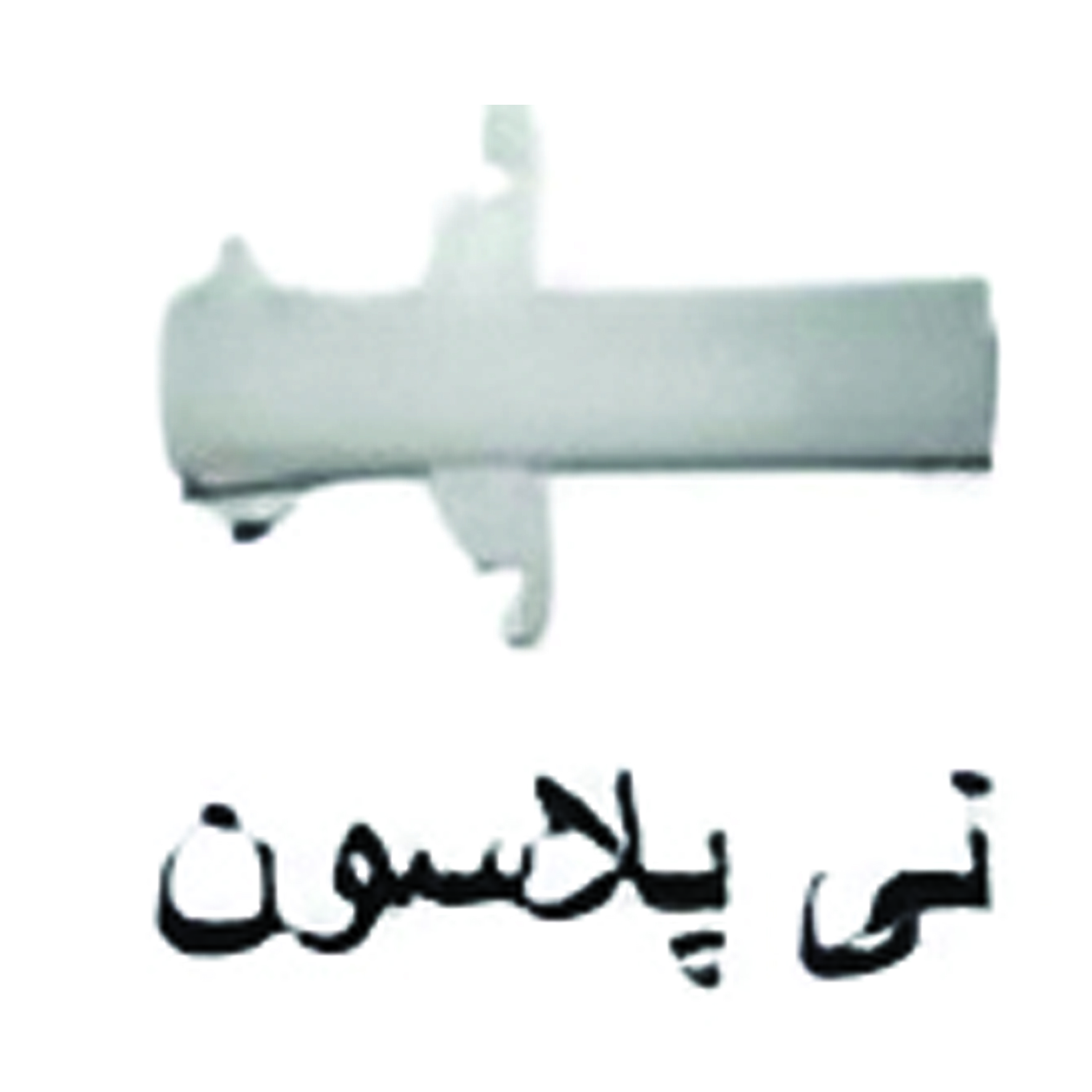 نی پلاسون