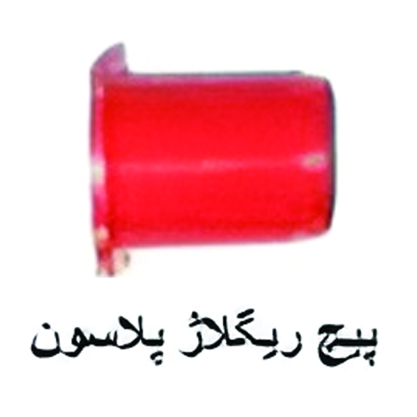پیچ ریگلاژ پلاسون