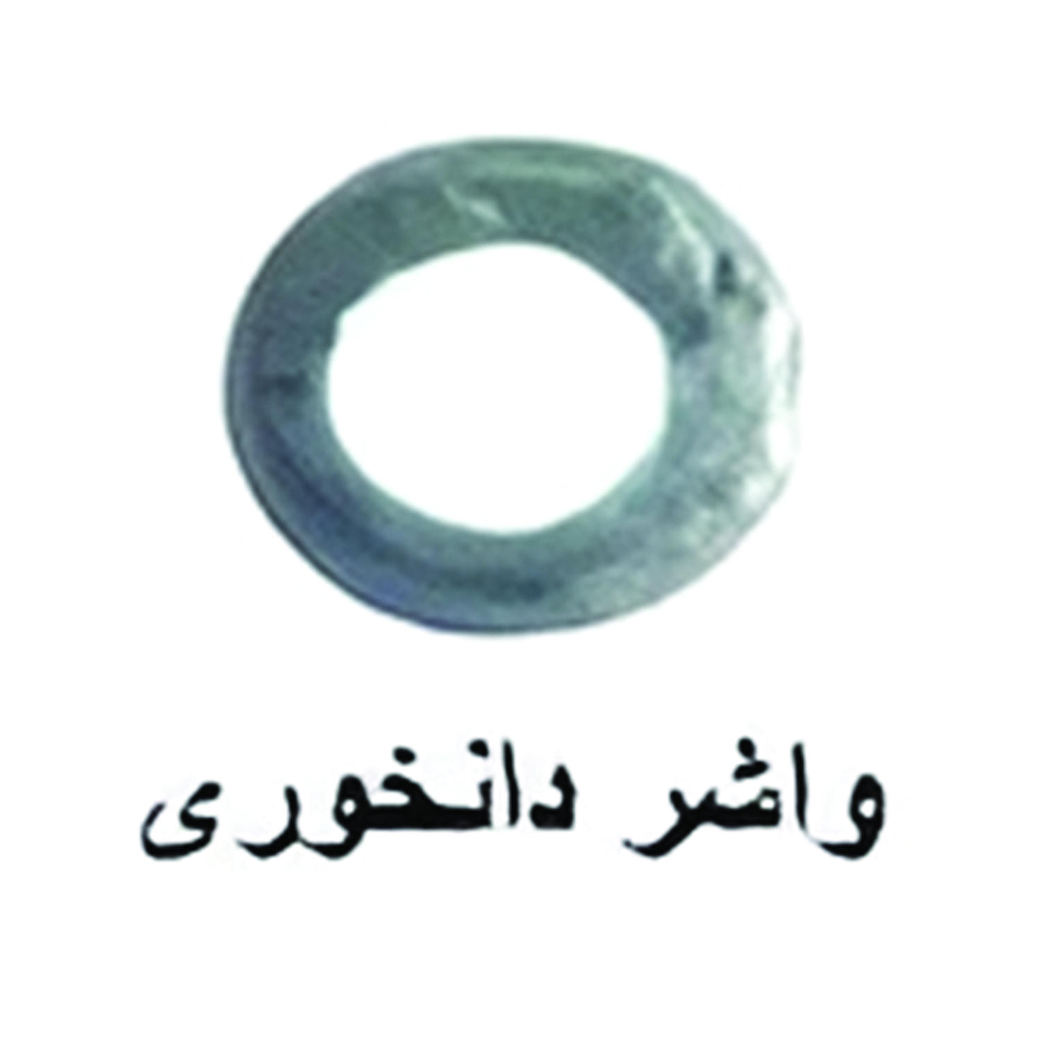 واشر دانخوری