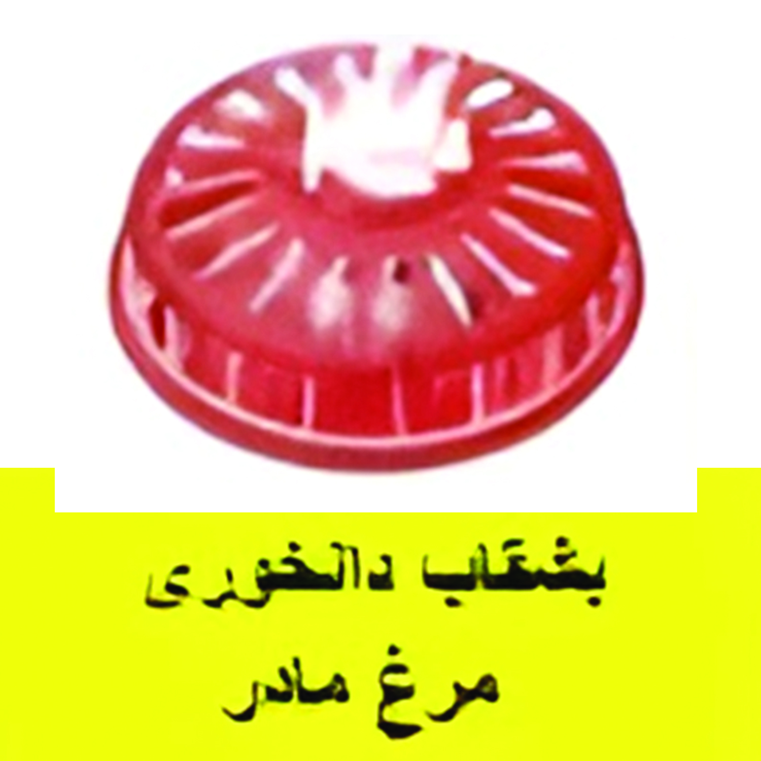 بشقاب دانخوری مرغ مادر