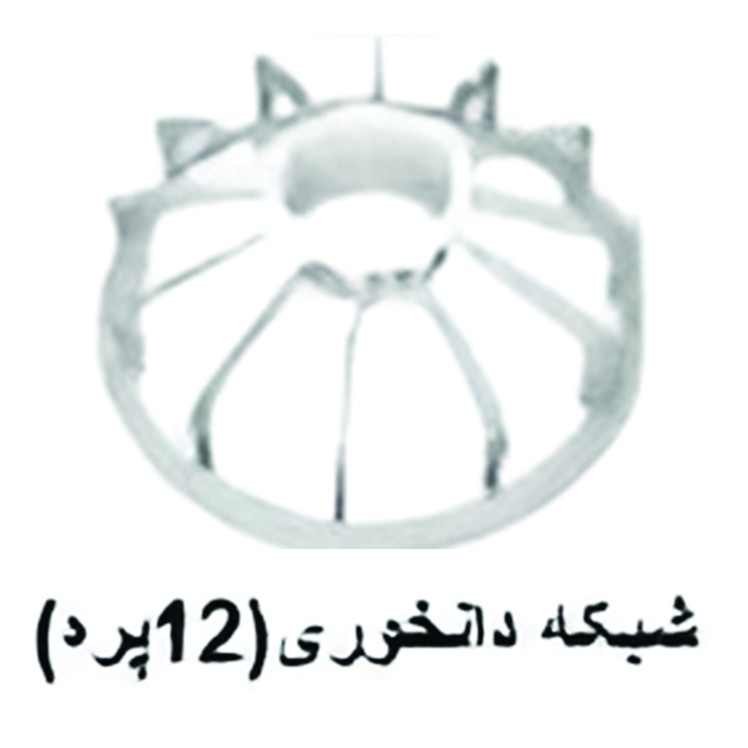 شبکه دانخوری (12پرد)