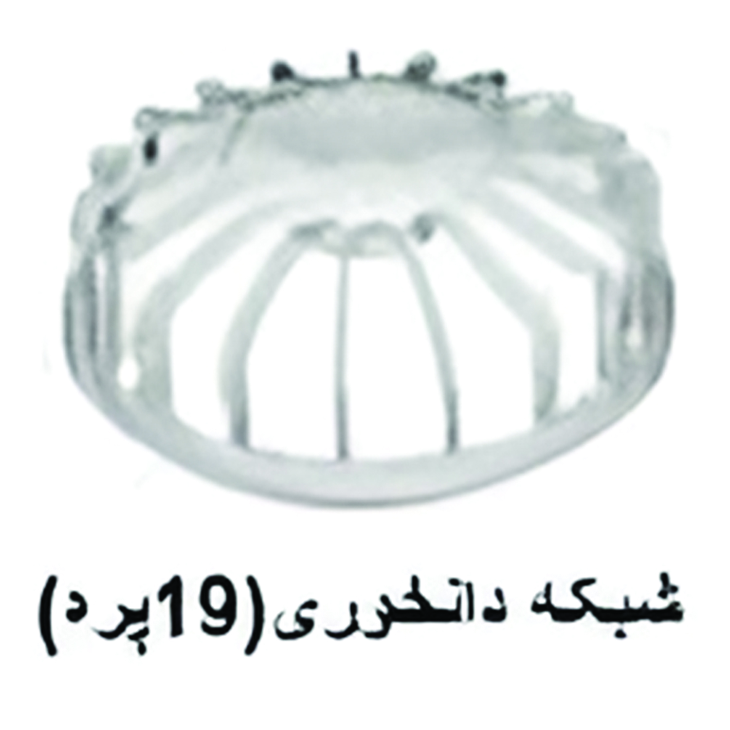 شبکه دانخوری (19پرد)