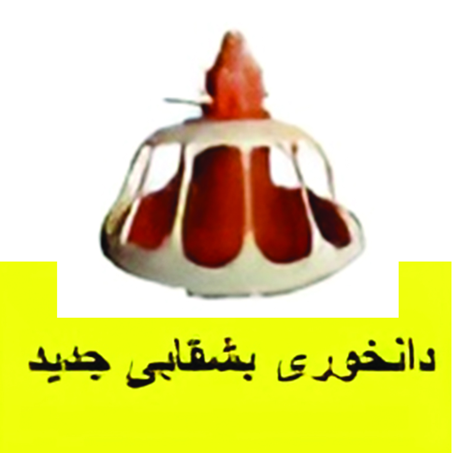 دانخوری بشقابی جدید