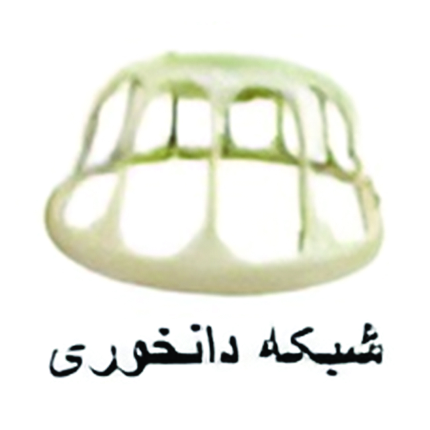 شبکه دانخوری