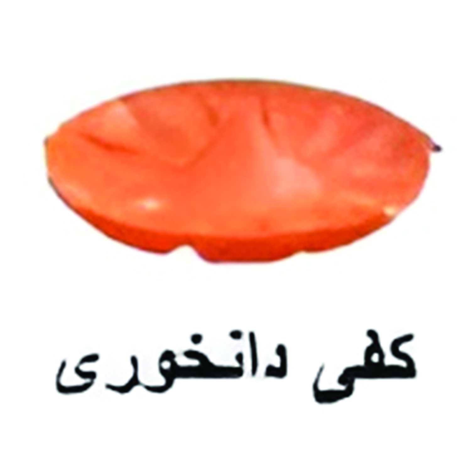 کفی دانخوری