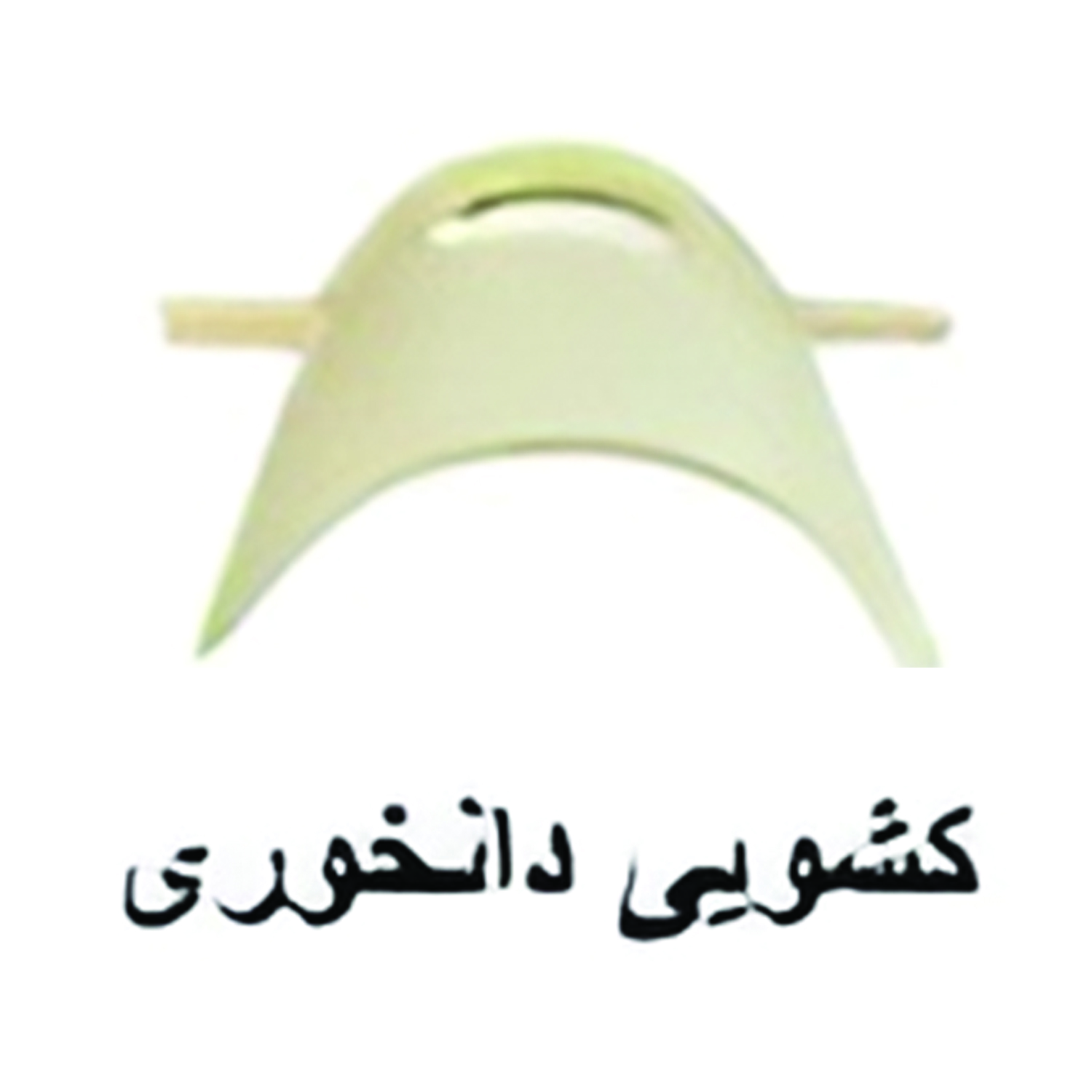 کشویی دانخوری